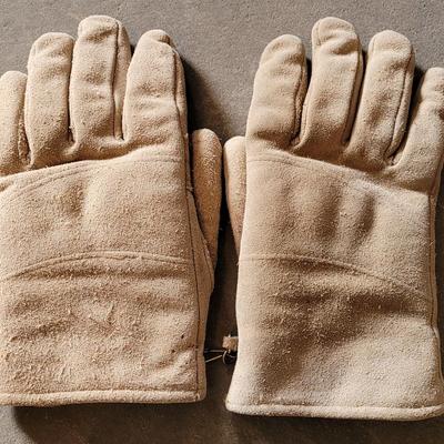 Work Gloves (2), Safety Glasses (2), and Ear Plugs