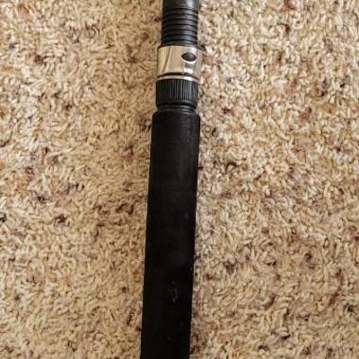 Shakespeare Pole without a Reel