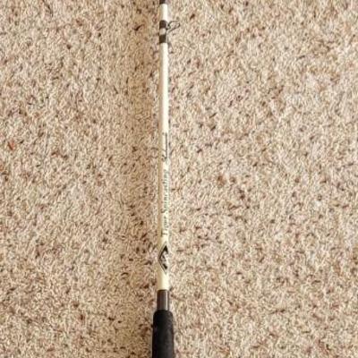 Tiger Spincaster Fishing Pole