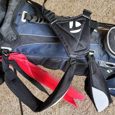 Taylor Made Golf Bag filled with Great Clubs, Gold Balls, & Tees