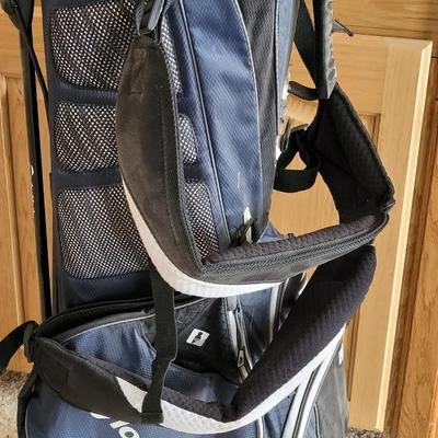 Taylor Made Golf Bag filled with Great Clubs, Gold Balls, & Tees