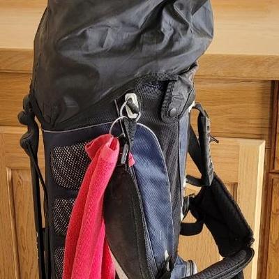 Taylor Made Golf Bag filled with Great Clubs, Gold Balls, & Tees