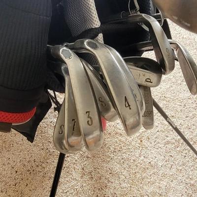Taylor Made Golf Bag filled with Great Clubs, Gold Balls, & Tees