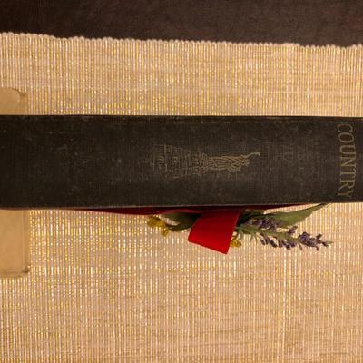 2 VINTAGE BOOKS