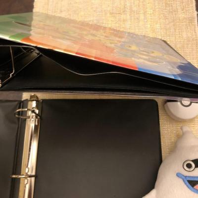 POKEMON BINDERS / PLUSH