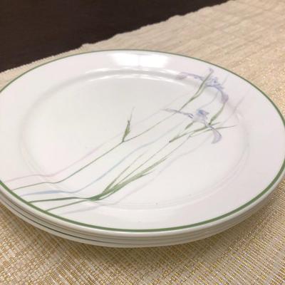 CORELLE DISHES
