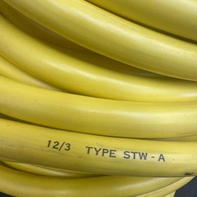 Lot 1293 12/3 type steel-A extension cord