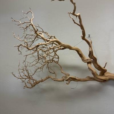 Lot 1350 Manzanita wood wall hanging