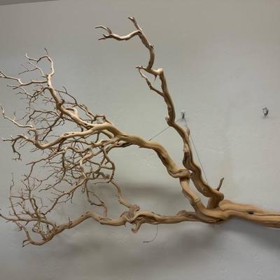Lot 1350 Manzanita wood wall hanging