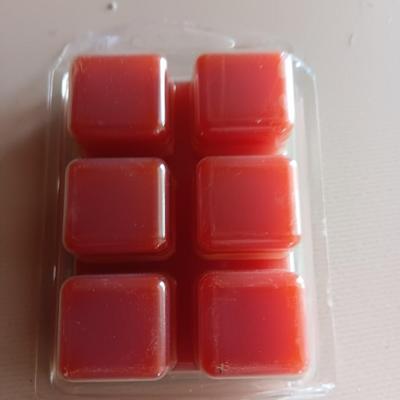 New Electric wax warmer - Camper with a pine tree with new scented wax cubes