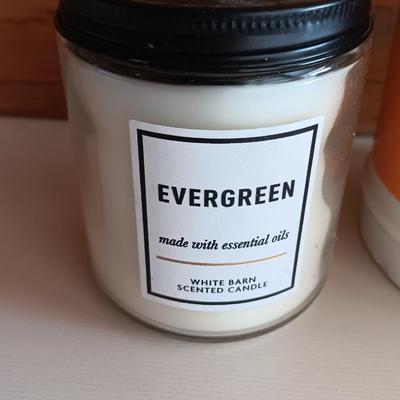 Three new candles - Evergreen - Mandarin & candied clove and Frosted Cranberry Bath & Bodyworks