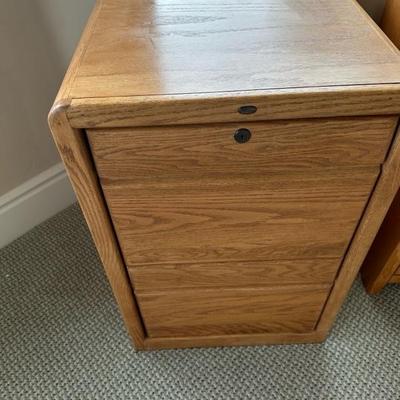 Lot 1075 Oak file cabinet