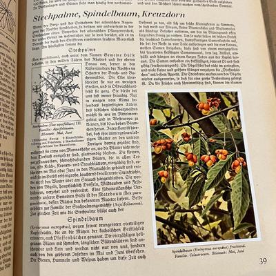 2 Antique German Books & Prints