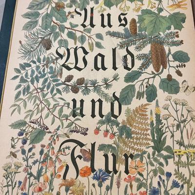 2 Antique German Books & Prints
