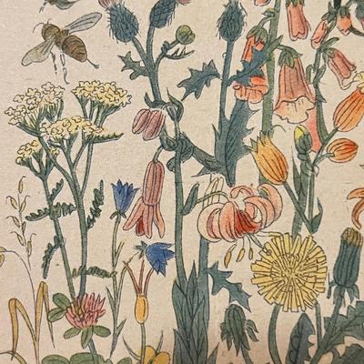 2 Antique German Books & Prints