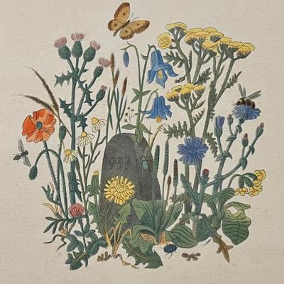2 Antique German Books & Prints