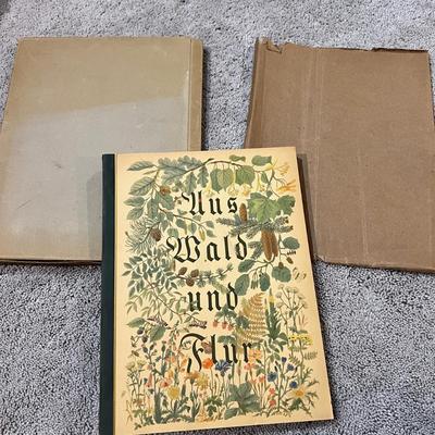 2 Antique German Books & Prints