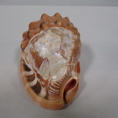 Hand Carved Shell From Ireland