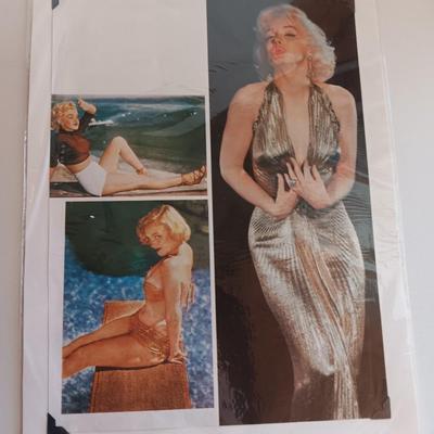 Collectible Marilyn Monroe Pictures