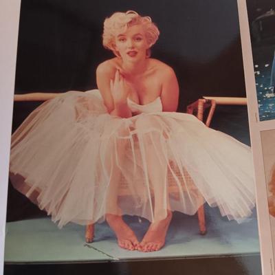Marilyn Monroe The classic Poster Book complete with posters. !