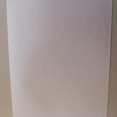 AUTOGRAPHED Rob Schneider and Colleen Haskell picture - #6 Frank Masi 2001