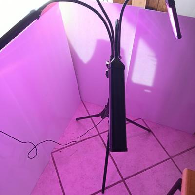 4 arm adjustable LED Plant grow light with tripod.
