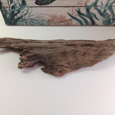 Canvas turtle wall art with driftwood and new candle