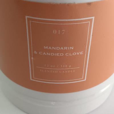 Canvas turtle wall art with driftwood and new candle