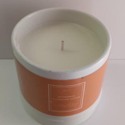 Canvas turtle wall art with driftwood and new candle