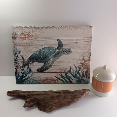 Canvas turtle wall art with driftwood and new candle
