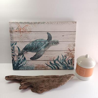 Canvas turtle wall art with driftwood and new candle