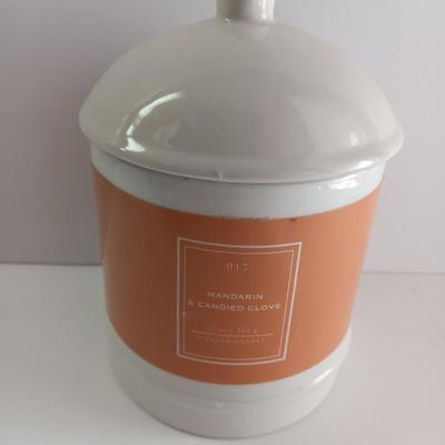 Canvas turtle wall art with driftwood and new candle