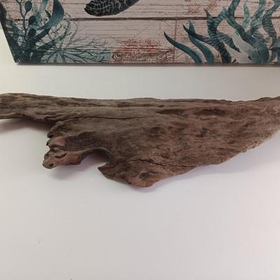 Canvas turtle wall art with driftwood and new candle