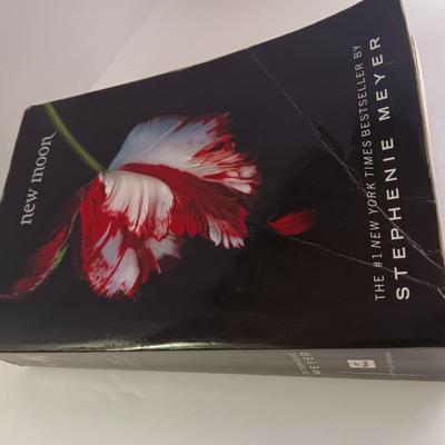 Stephenie Meyer Breaking Dawn - Eclipse - Twilight - New Moon books 4 BOOKS