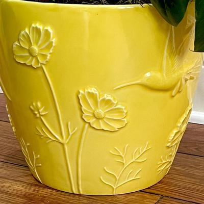 Schefflera Plant ~ In A Yellow Ceramic Flower Pot