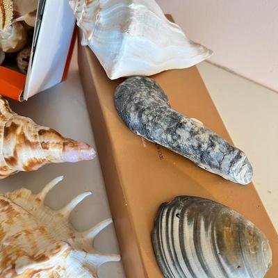 Shell Lot
