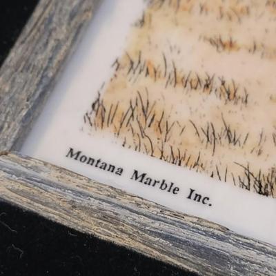Montana Marble Engraving & Painting "The Challenge"