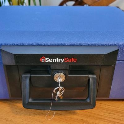 Blue Sentry Safe with 2 Keys