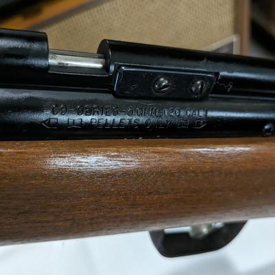 Vintage Benjamin Sheridan Bluestreak 5mm .20 cal Pump Air
