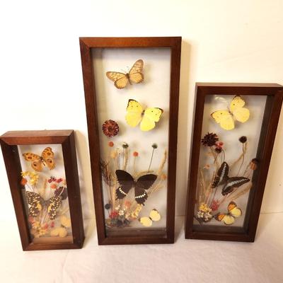 Lot #94 Set of 3 Butterfly Specimen Wall Hangings - 1970s