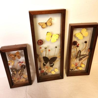 Lot #94 Set of 3 Butterfly Specimen Wall Hangings - 1970s