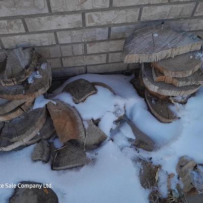 Wood rounds for crafting - thin wooden round pieces