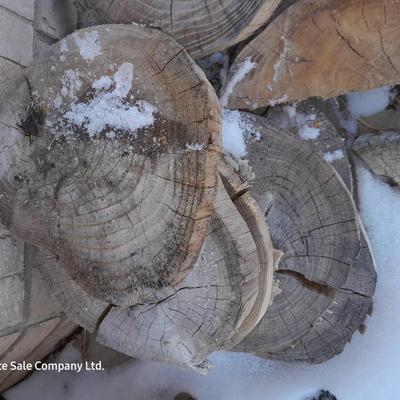 Wood rounds for crafting - thin wooden round pieces