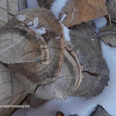 Wood rounds for crafting - thin wooden round pieces