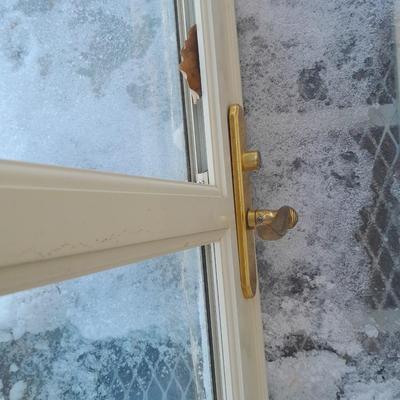 Glass storm door with brass colored trim