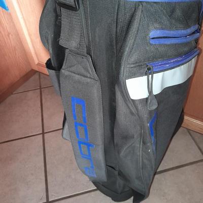 NICE COBRA golf club set with bag