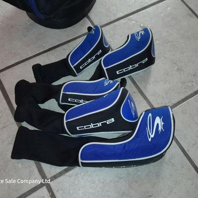NICE COBRA golf club set with bag