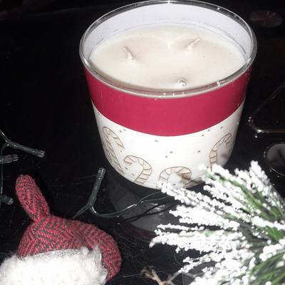 Christmas decor for the dog lover! and two bundles of battery-operated LED lights scented candles.