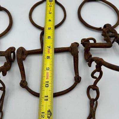 1800s Hand Forged Spanish Horse Ring Bits