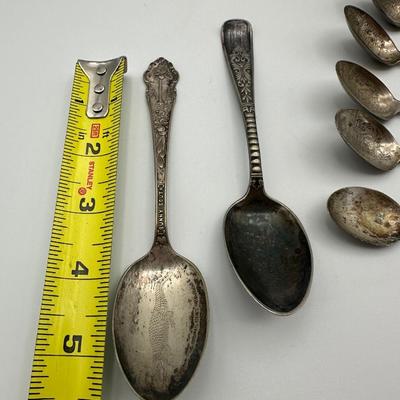 Spoon Lot